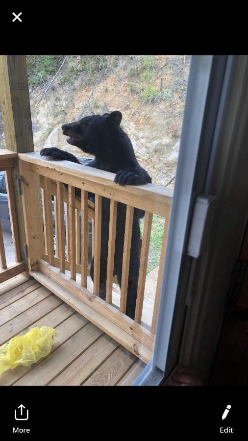Love Nest Chalet Villa Gatlinburg Esterno foto